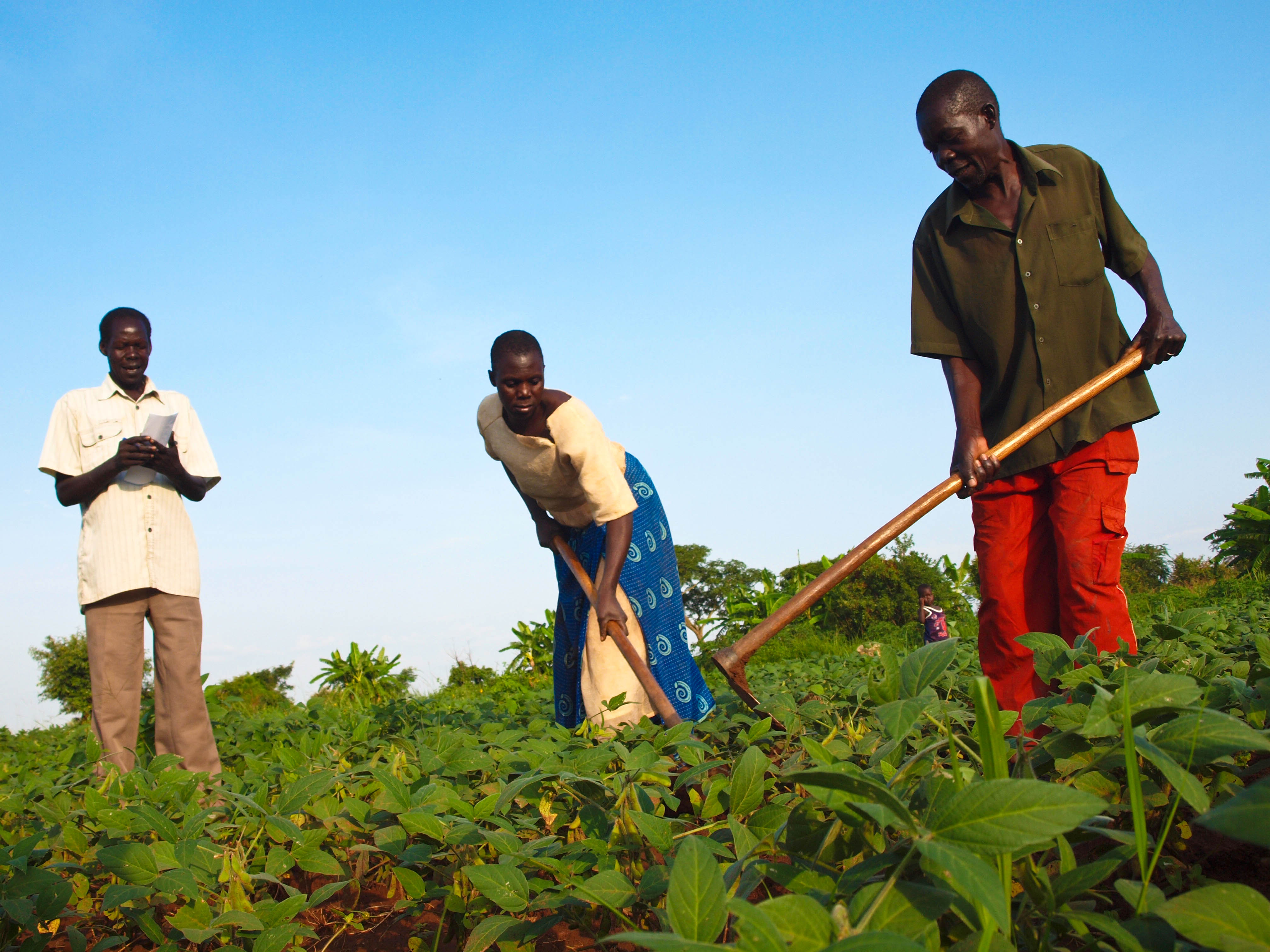 Disaster Resilience Everyones Responsibility Uganda World Vision